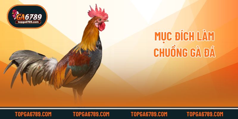 4+ Cách Làm Chuồng Nuôi Gà Đá Đúng Kỹ Thuật Cho Sư Kê_692451486e8ea.jpeg