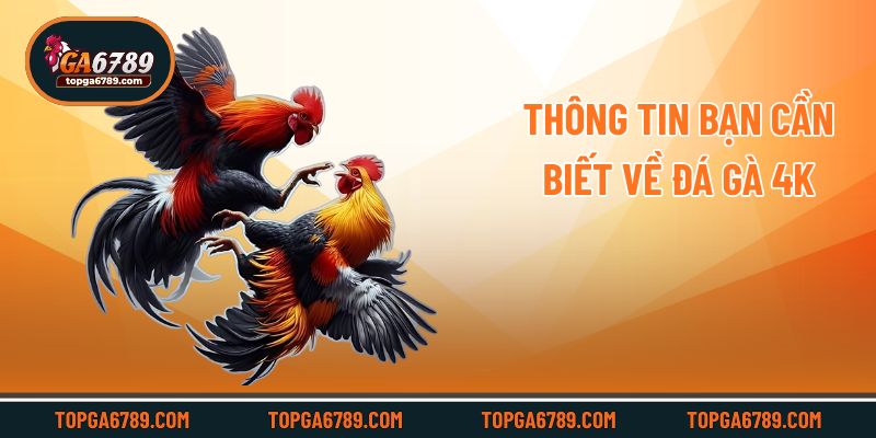 Đá Gà 4k – Xem Trực Tiếp Trận Đấu Siêu Nét Cùng Ga6789_692451b06bc99.jpeg