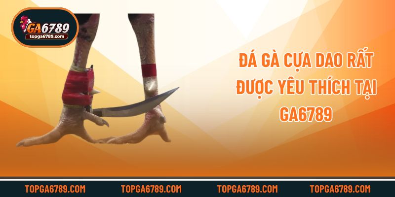 Đá Gà Cựa Dao – Ga6789 Trực Tiếp Trận Đấu Kịch Tính Mãn Nhãn_6924514ed056f.jpeg