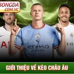 Kèo Châu Âu – Loại Kèo Cược Được Nhiều Dân Cược Lựa Chọn_692456a30158d.webp