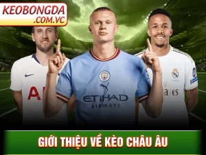 Kèo Châu Âu – Loại Kèo Cược Được Nhiều Dân Cược Lựa Chọn_692456a30158d.webp