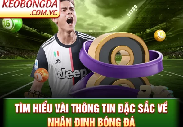 Nhận Định Bóng Đá – Dự Đoán Kết Quả Với Phân Tích Cực Đỉnh_692456bb01bcb.webp