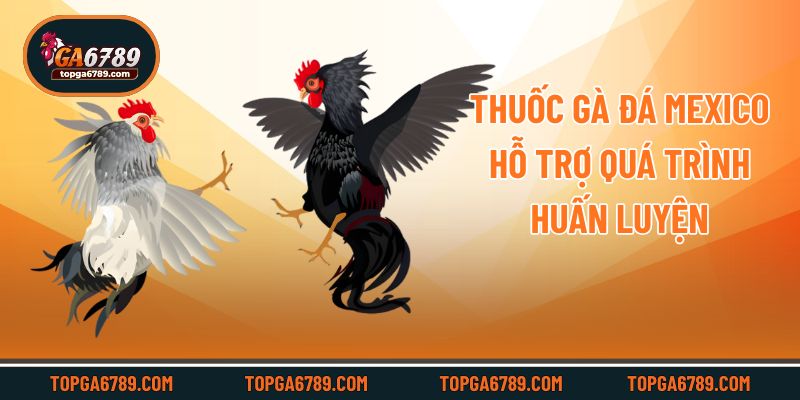 Thuốc Gà Đá Mexico – Bí Quyết Tăng Sức Mạnh Cho Chiến Kê_69245186f2782.jpeg