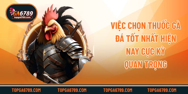 Thuốc Gà Đá Tốt Nhất Hiện Nay – Gợi Ý Từ Ga6789_692451702162e.jpeg