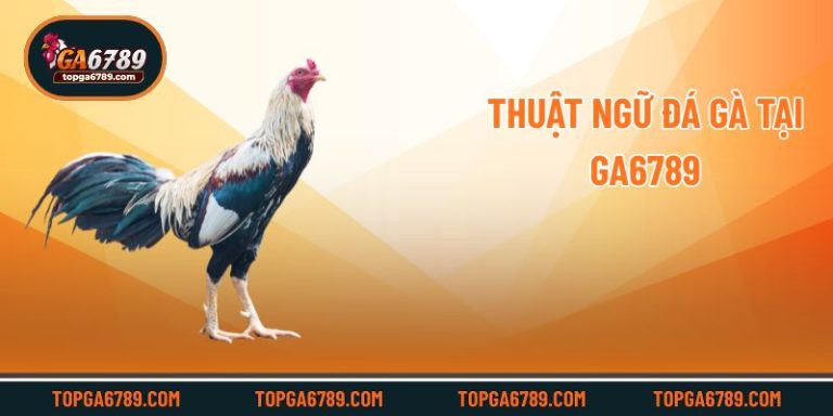 Tổng Hợp Các Thuật Ngữ Đá Gà Thông Dụng Cho Dân Cá Cược_692451b7d661a.jpeg