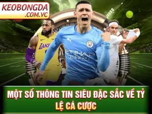 Tỷ Lệ Cá Cược – Các Mẹo Phân Tích Chuẩn Xác Để Chiến Thắng_692456b554cfb.webp