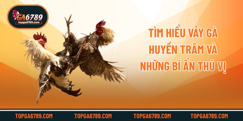 Vảy Gà Huyền Trâm – Biểu Tượng Sức Mạnh Của Giới Kê Chiến_692451248b072.jpeg