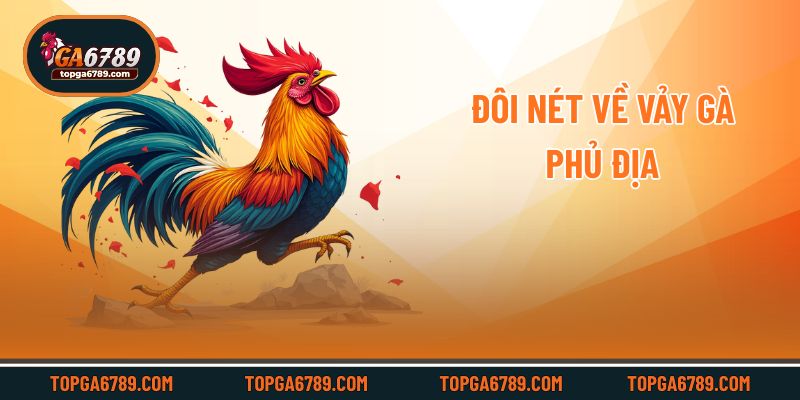 Vảy Gà Phủ Địa – 3 Cách Nhận Biết Chiến Binh Xuất Sắc_6924511d95335.jpeg